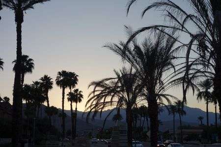 Palm Springs Sunset