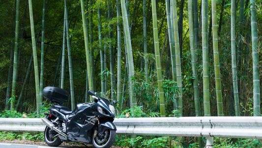 相棒と走った道２