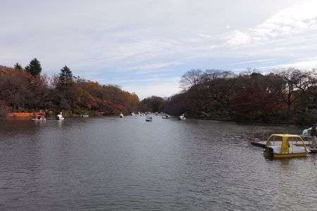 井の頭恩賜公園
