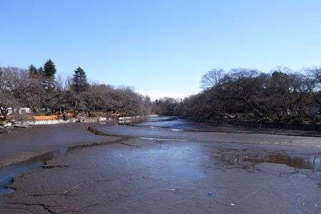 井の頭恩賜公園