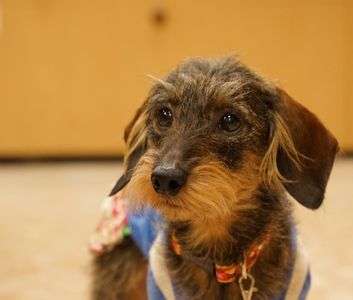 久しぶりに投稿させていただきます