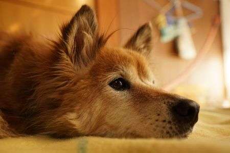 誰かかまって・・・