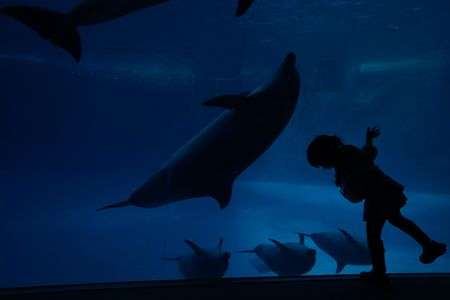 α体験会にて～水族館～２