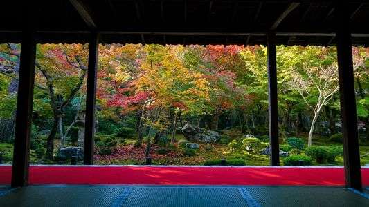 京都 2018 圓光寺 秋