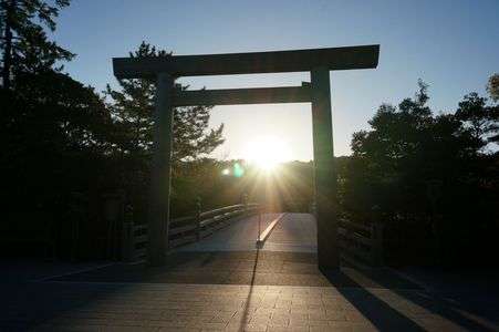 冬至には少し早いけど…