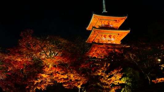 清水寺ライトアップ