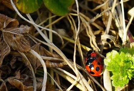 いのちはめぐる