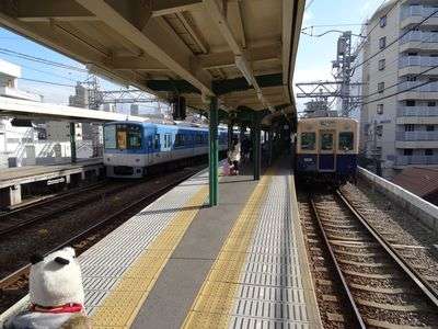 coパンダ現る、御影駅