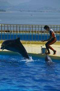 ショ～タイム  ～イルカver～