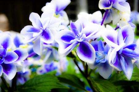 2015-06 Kitakamakura