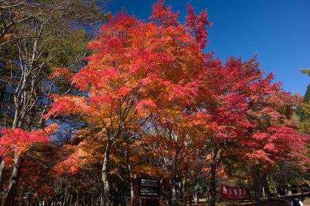 榛名の紅葉