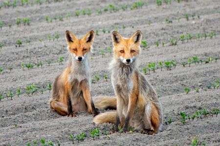 怒られますよ！