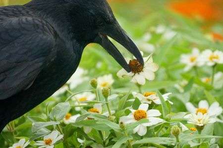 これにしようかな。