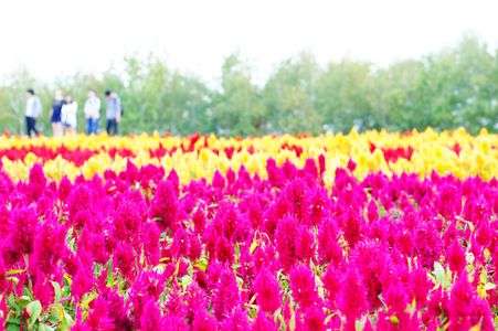 ～最後の夏休み～