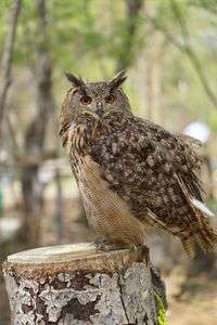 たまにはおでかけ