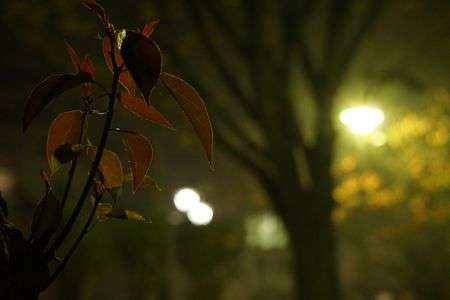 １０年後には・・・