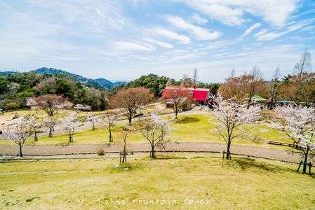 Rokko mountain ranch