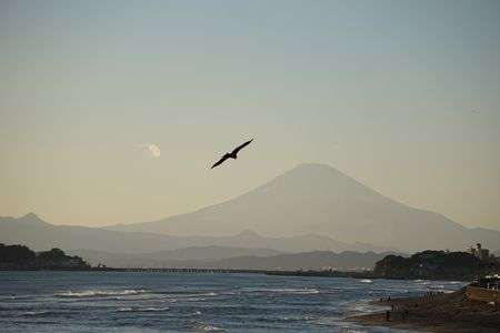 一富士、二鷹・・・？とんび？あれ？・・・なすびは？