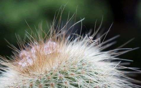 生まれて間もない?