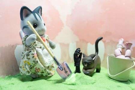 「こら。掘り返しちゃだめよ」