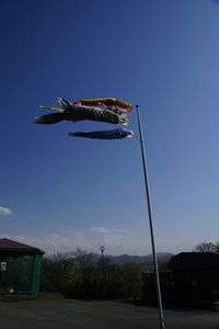 こどもの日の動物園