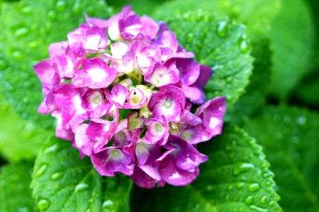 久々の雨の日に１