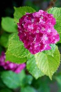 久々の雨の日に　２