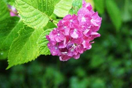 久々の雨の日に　５