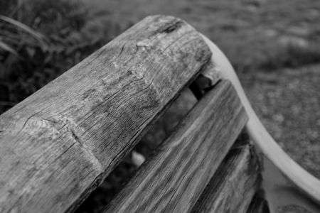 ねんりん・・ひびわれ・・