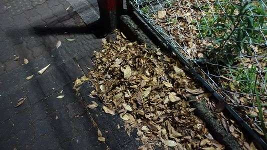 初めてとりました