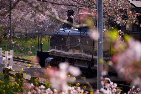 春をはこぶ列車