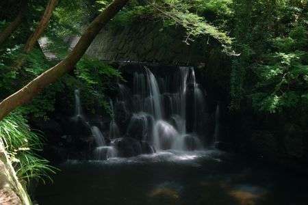 まさかりが淵の滝とハグロトンボ