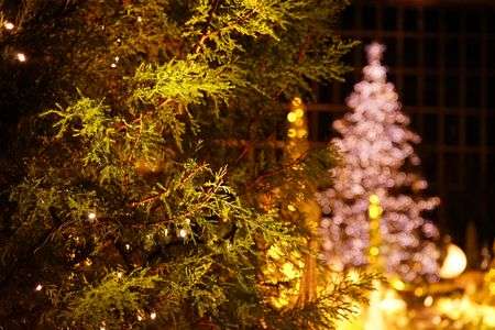 玉ボケクリスマスツリー