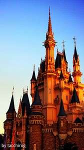 夕陽に染まって