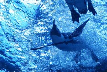 決定的瞬間！！