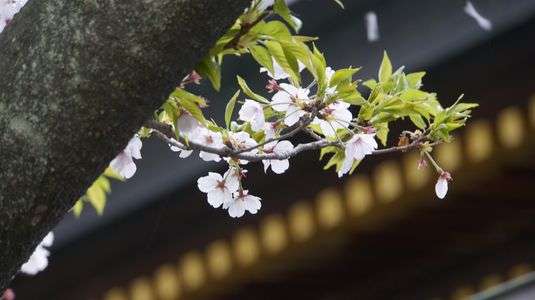 大阪天満宮にて