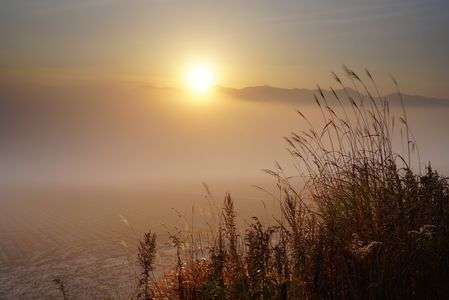 朝陽に染まる美瑛の大地