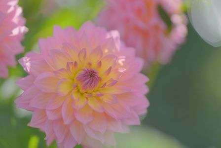 秋の訪れを感じて