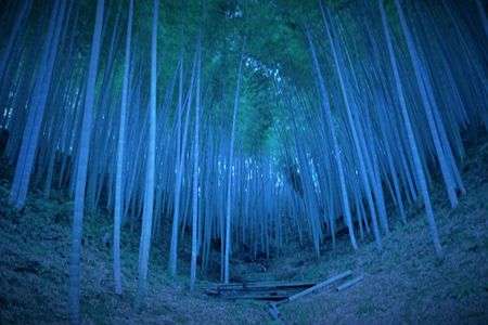 大好きな漫画の世界観