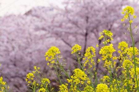 どっちが主役？？