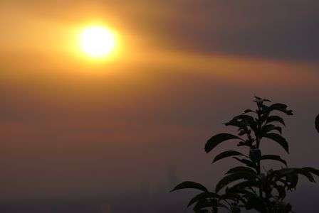 夕日に照らされて