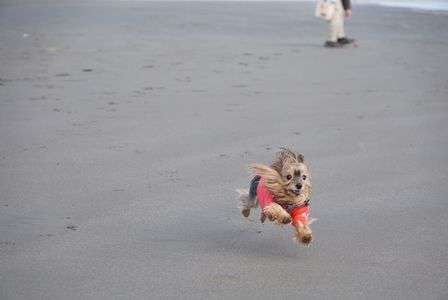 元気いっぱい♪