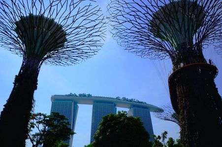 MBS from Gardens by the Bay