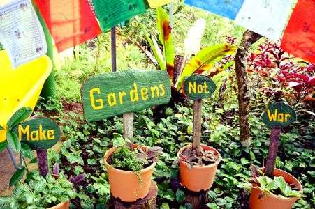 Plants with messages