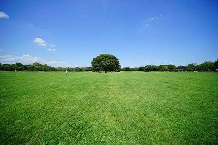 どうどうと、ぽつん。