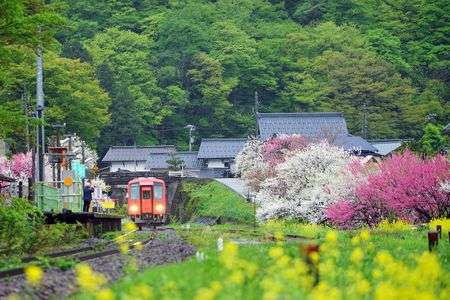 ゆる鉄♡花桃の里