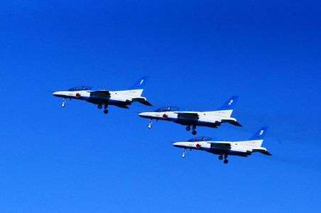 Leader, Left Wing, Right Wing