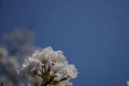 春の日差しの中で