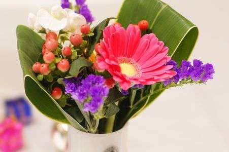 ステップアップ一眼（2017.1.15)室内の花を印象的に撮る