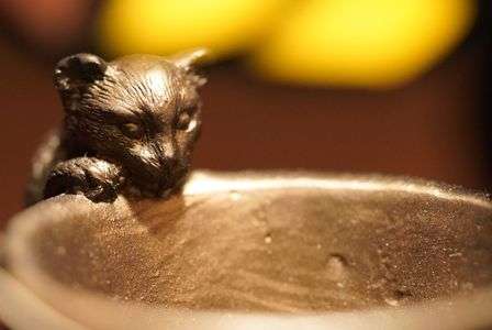 なにもないにゃ